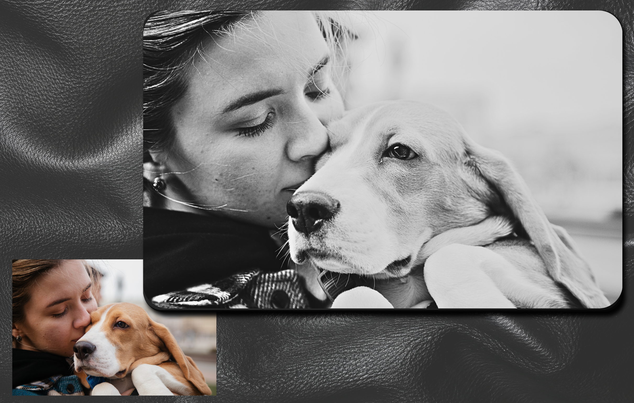 Girl Snuggling Her Dog In Black And White Engraved On Metal Wallet Card